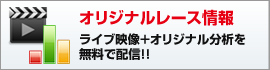オリジナルレース情報