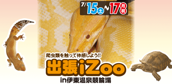 7月15日～7月17日 出張イズーin伊東温泉競輪場