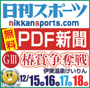 椿賞争奪戦PDF